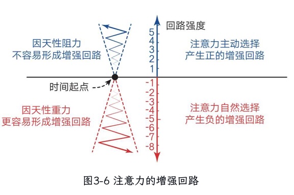 注意力增强回路